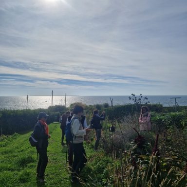 Dans le jardin de l'apothicaire