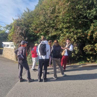 Visite de l'apothicaire